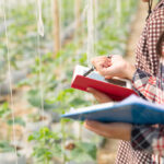 يعني إيه استثمار زراعي؟