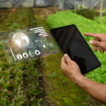 طب إيه مميزات الاستثمار الزراعي؟