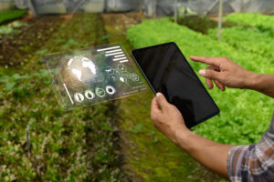 طب إيه مميزات الاستثمار الزراعي؟